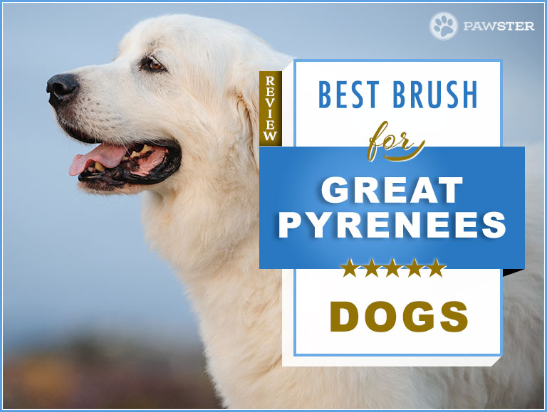 brush for great pyrenees