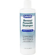 best mite shampoo for dogs