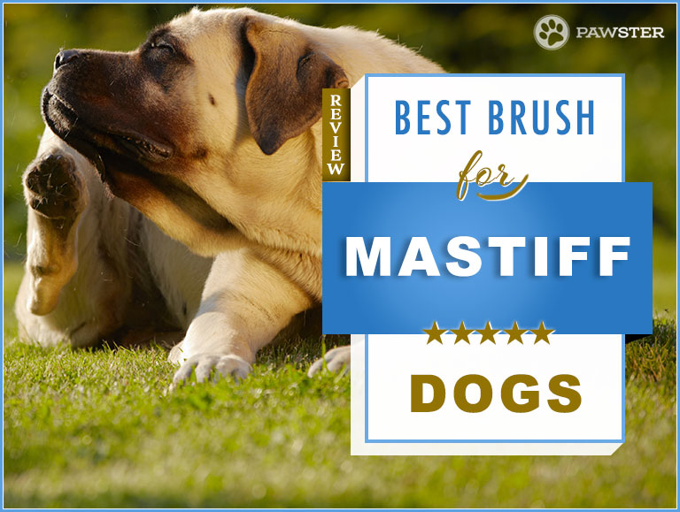 fur master dog brush