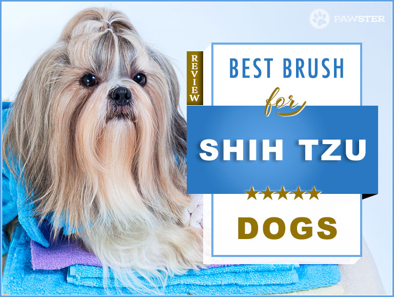 shih tzu hair brush