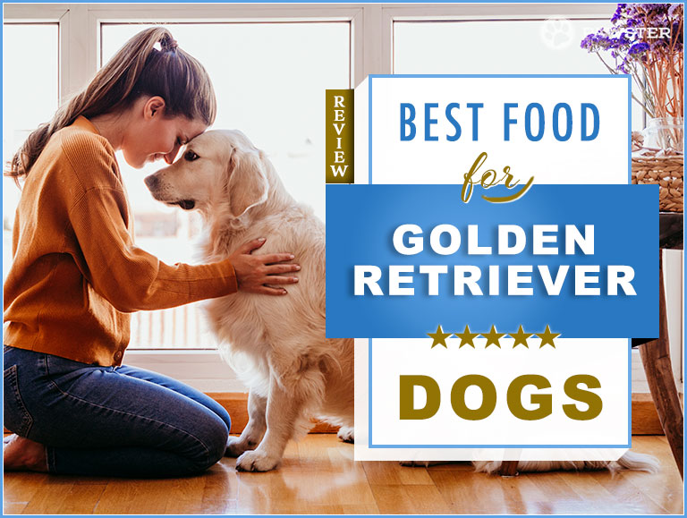 8 Best Dog Foods For Golden Retrievers In 2021