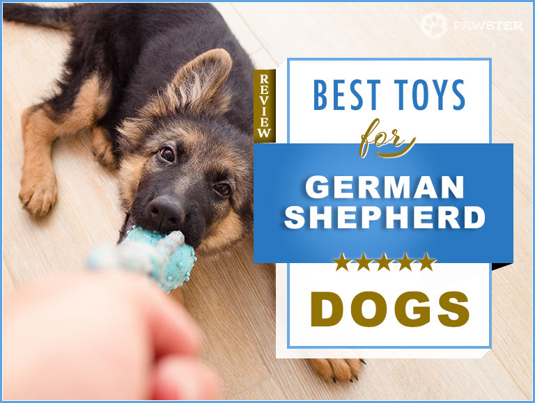 best toys for german shepherds