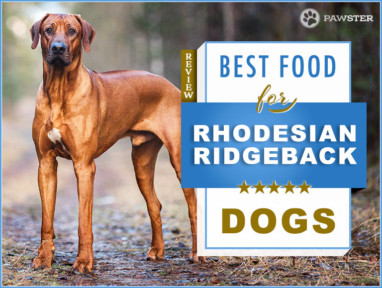 9 Best Rhodesian Ridgeback Dog Foods in 2022