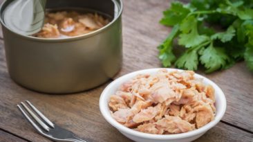 Is canned tuna good for dogs