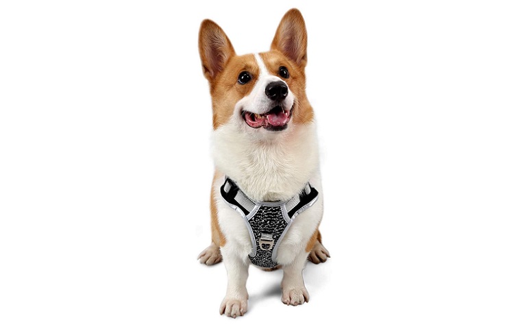 Koneseve Dog Harness Review