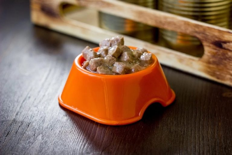Best Wet Food For Dogs