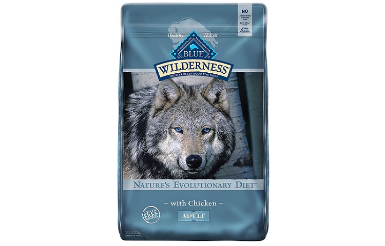 Blue Buffalo Wilderness Dog Food Review