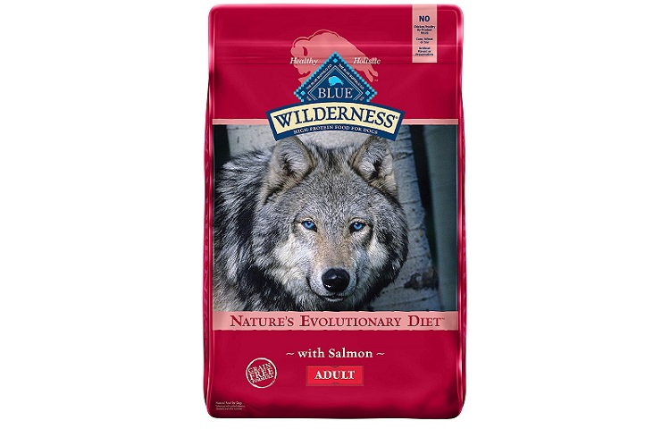 Blue Buffalo Wilderness Salmon Flavored Dog Food Review