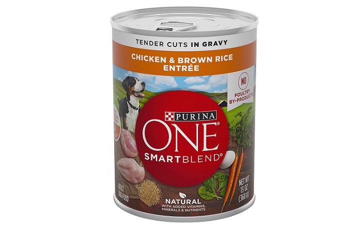 Purina ONE SmartBlend Gravy Wet Dog Food Review