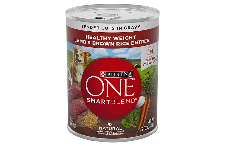 Purina ONE SmartBlend Wet Dog Food Review